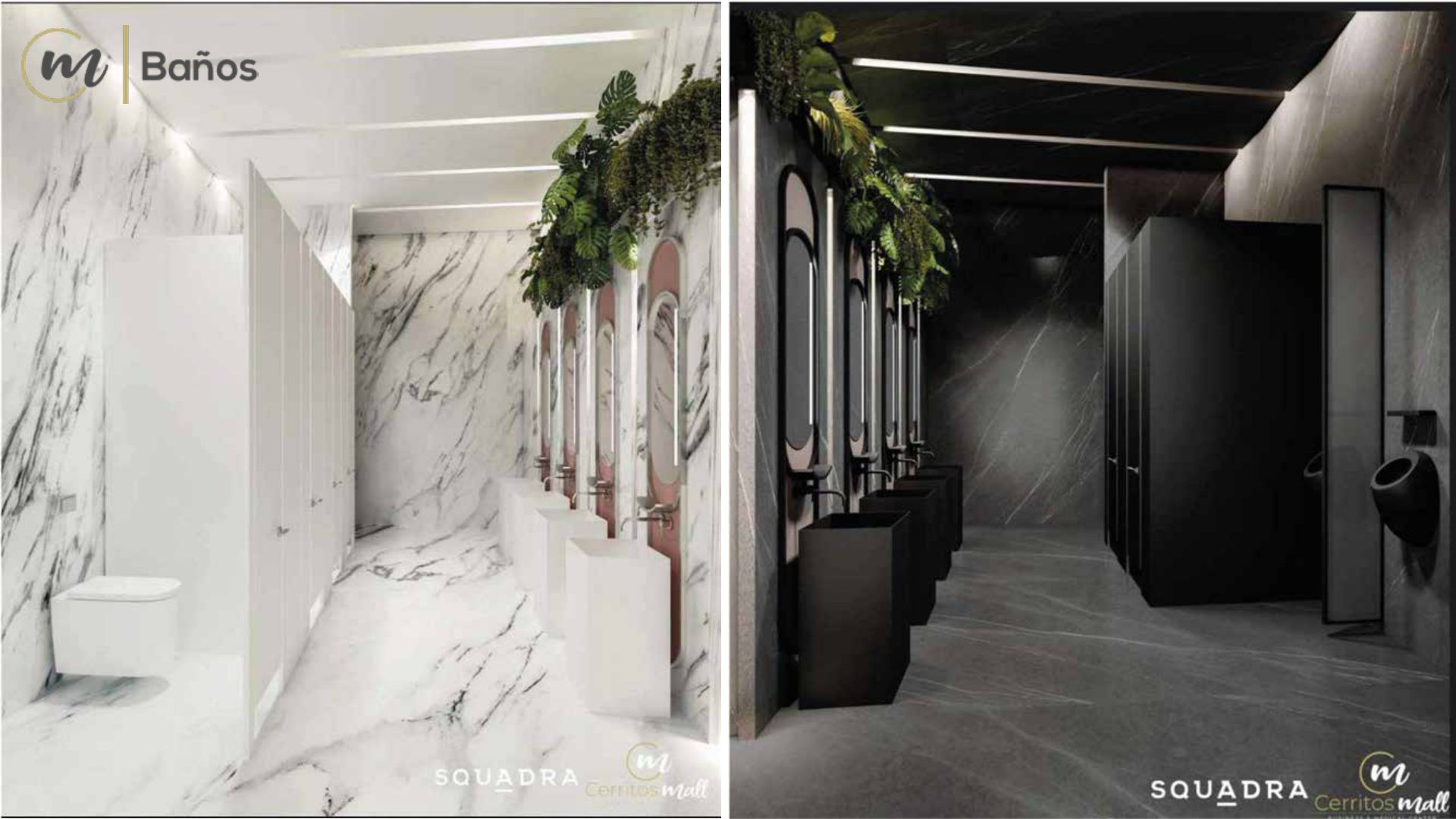 Cerritos Mall Business & Medical Center